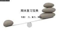 专题6 简单机械(讲)—八年级下册物理期末复习宝典(人教版)