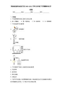 河南省洛阳市洛宁县2020-2021学年九年级下学期期中化学试题（word版 含答案）