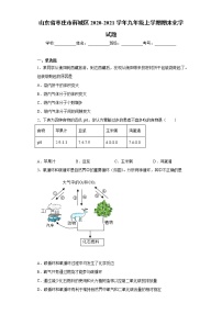 山东省枣庄市薛城区2020-2021学年九年级上学期期末化学试题（word版 含答案）