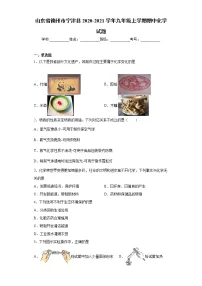山东省德州市宁津县2020-2021学年九年级上学期期中化学试题(word版 含答案)