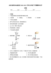 山东省菏泽市成武县2020-2021学年九年级下学期期中化学试题（word版 含答案）