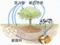 化学九年级上册第一节 碳的单质评优课课件ppt