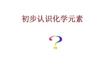 2021学年第5章 化学元素与物质组成的表示第一节 初步认识化学元素精品课件ppt