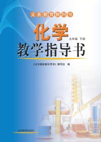 鲁教版（六三学制）化学教师教学用书9年级下册2024高清PDF电子版