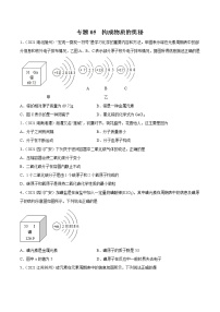 2021年中考化学真题分项汇编专题05 构成物质的奥秘