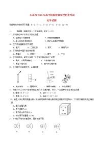 四川省乐山市2016年中考化学真题试题（含答案）