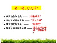 人教版第六单元 碳和碳的氧化物课题3 二氧化碳和一氧化碳优质课件ppt