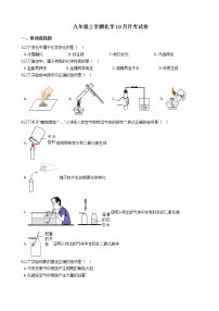 2020-2021年湖北省孝感市九年级上学期化学10月月考试卷