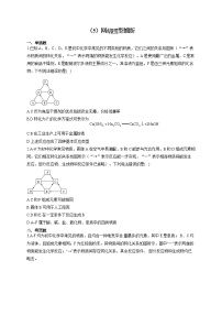 人教版九年级化学物质的转化与推断通关训练（5）网络图型推断