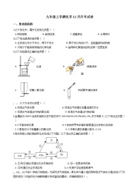 2020-2021年湖北省武汉市九年级上学期化学12月月考试卷