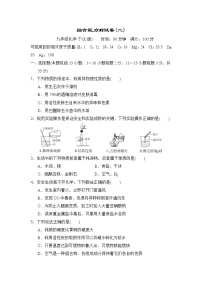 人教版九年级全一册化学 综合能力测试卷(二)