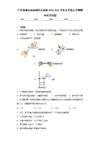 广东省佛山市南海区大沥镇2020-2021学年九年级上学期期中化学试题(word版含答案)