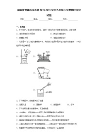 湖南省常德市汉寿县2020-2021学年九年级下学期期中化学试题(word版含答案)