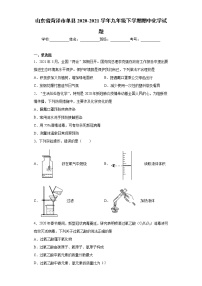 山东省菏泽市单县2020-2021学年九年级下学期期中化学试题(word版含答案)