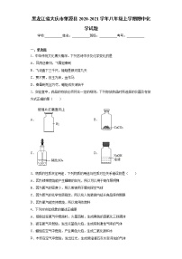 黑龙江省大庆市肇源县2020-2021学年八年级上学期期中化学试题（word版 含答案）