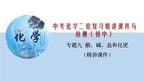 专题09 酸、碱、盐和化肥（精讲课件）-2020年中考化学二轮复习精讲课件与检测(共44张PPT)