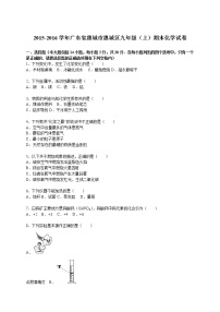 2015-2016学年广东省惠城市惠城区九年级（上）期末化学试卷