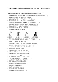 河南省南阳市新野县2018届九年级上学期期末考试化学试题