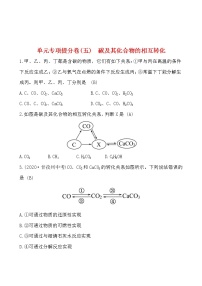 单元专项提分卷(五)碳及其化合物的相互转化 试卷  2021-2022人教版化学九年级上册