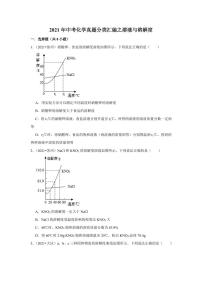 2021年中考化学真题分类汇编：溶液与溶解度专项复习解析版