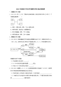 2021年湖南中考化学真题分类汇编-推断题