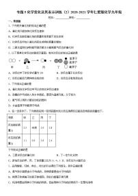 初中化学仁爱湘教版九年级上册专题五 化学变化及其表示综合与测试课时作业