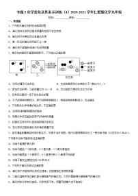 仁爱湘教版九年级上册专题五 化学变化及其表示综合与测试复习练习题