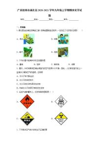 广西钦州市浦北县2020-2021学年九年级上学期期末化学试题(word版含答案)