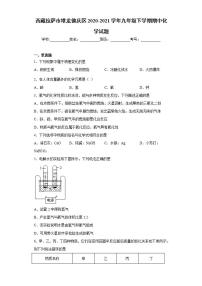 西藏拉萨市堆龙德庆区2020-2021学年九年级下学期期中化学试题(word版含答案)