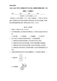 2021-2022学年人教版化学九年级上册 期中模拟试卷（深圳版）（含解析）（原卷）