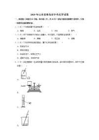 2019年山东省青岛市中考化学试卷+答案+解析