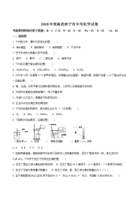 2018年青海省西宁市中考化学试卷（原卷+解析卷）