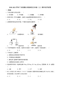 广东省湛江市徐闻县2020-2021学年上学期期中九年级化学试卷（word版含答案）