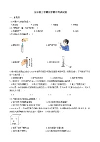 2021年河南省洛阳市九年级上学期化学期中试卷