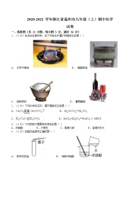 浙江省温州市2020-2021学年九年级上学期期中化学试题（word版含答案）