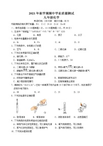 江苏省宜兴市树人中学教育集团2021-2022学年九年级上学期期中学业质量测试化学【试卷+答案】