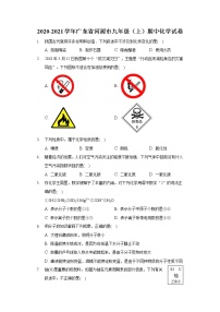 2020-2021学年广东省河源市九年级（上）期中化学试卷