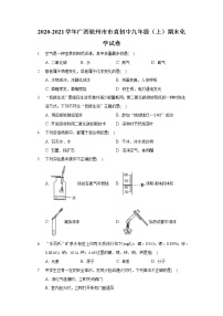 2020-2021学年广西钦州市市直初中九年级（上）期末化学试卷