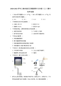 2020-2021学年上海市徐汇区教院附中九年级（上）期中化学试卷