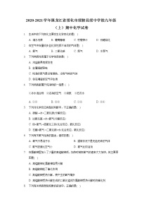 2020-2021学年黑龙江省绥化市绥棱县绥中学校九年级（上）期中化学试卷