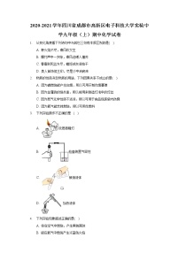 2020-2021学年四川省成都市高新区电子科技大学实验中学九年级（上）期中化学试卷