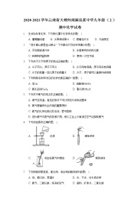 2020-2021学年云南省大理州南涧县某中学九年级（上）期中化学试卷