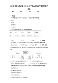 山东省烟台市莱州市2021-2022学年九年级上学期期中化学试题（word版 含答案）