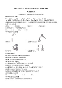 江苏省连云港市海州区2021-2022学年九年级上学期期中化学试题（word版 含答案）