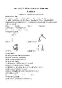 江苏省连云港市海州区2021-2022学年九年级上学期期中化学试题(word版 含答案)