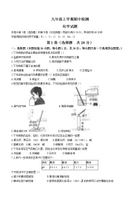 山东省泰安市新泰市2021-2022学年九年级上学期期中化学考试（word版 含答案）练习题