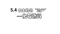 2020-2021学年5.4 古生物的“遗产”——化石燃料示范课ppt课件