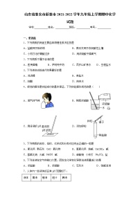 山东省泰安市新泰市2021-2022学年九年级上学期期中化学试题（word版 含答案）