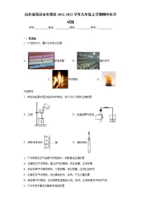 山东省菏泽市东明县2021-2022学年九年级上学期期中化学试题（word版 含答案）