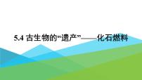 化学九年级上册5.4 古生物的“遗产”——化石燃料课文内容ppt课件